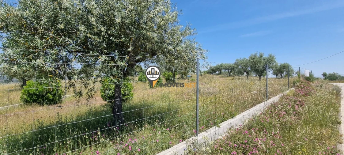 Terreno para Venda em Castelo Branco Foto 13