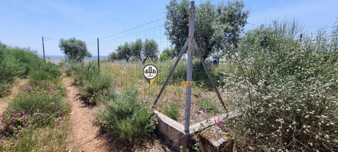 Terreno para Venda em Castelo Branco Foto 7