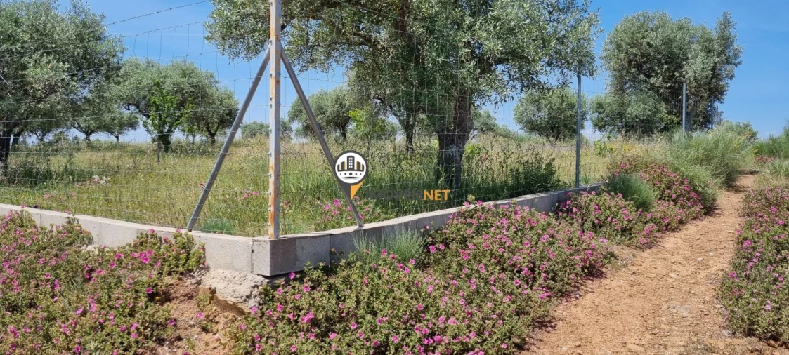 Terreno para Venda em Castelo Branco Foto 4