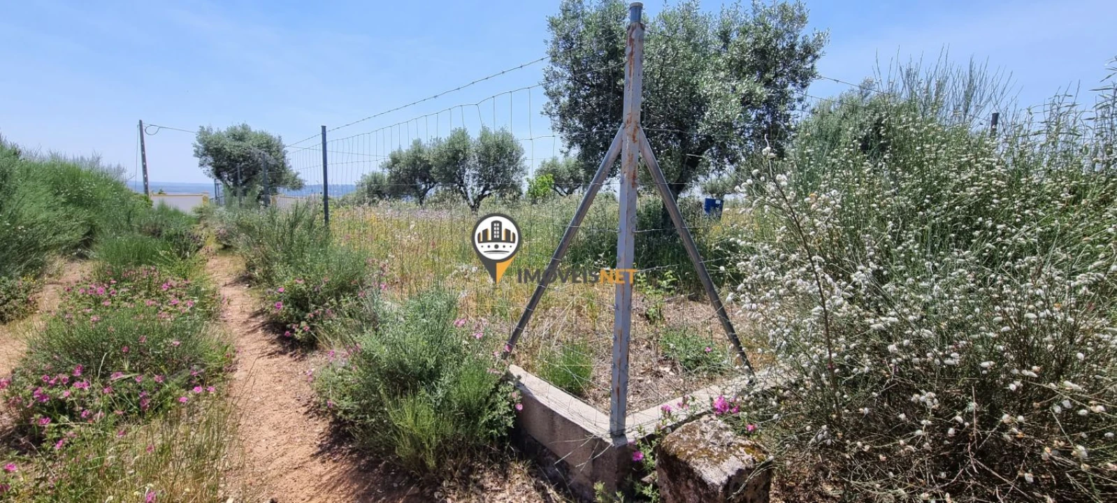 Terreno para Venda em Castelo Branco Foto 7