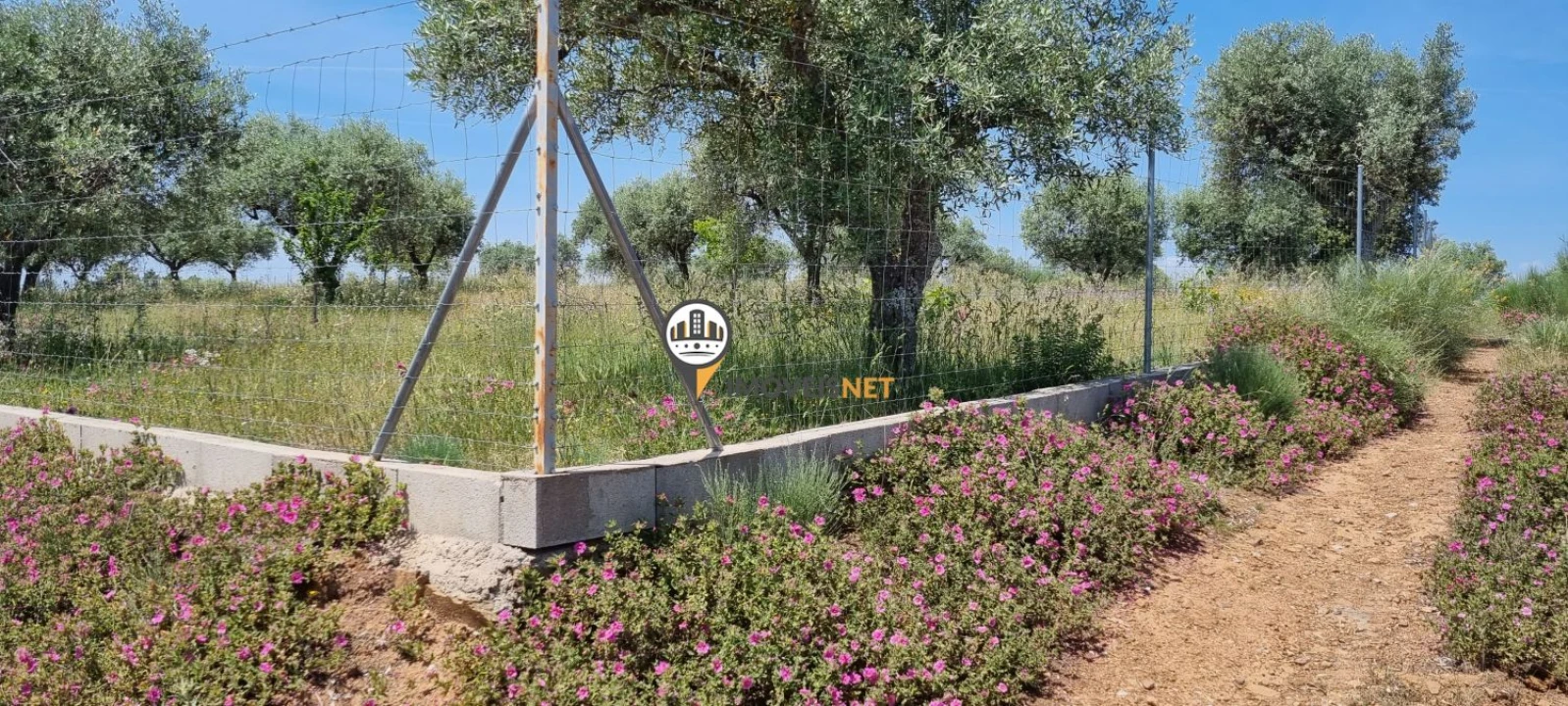 Terreno para Venda em Castelo Branco Foto 4