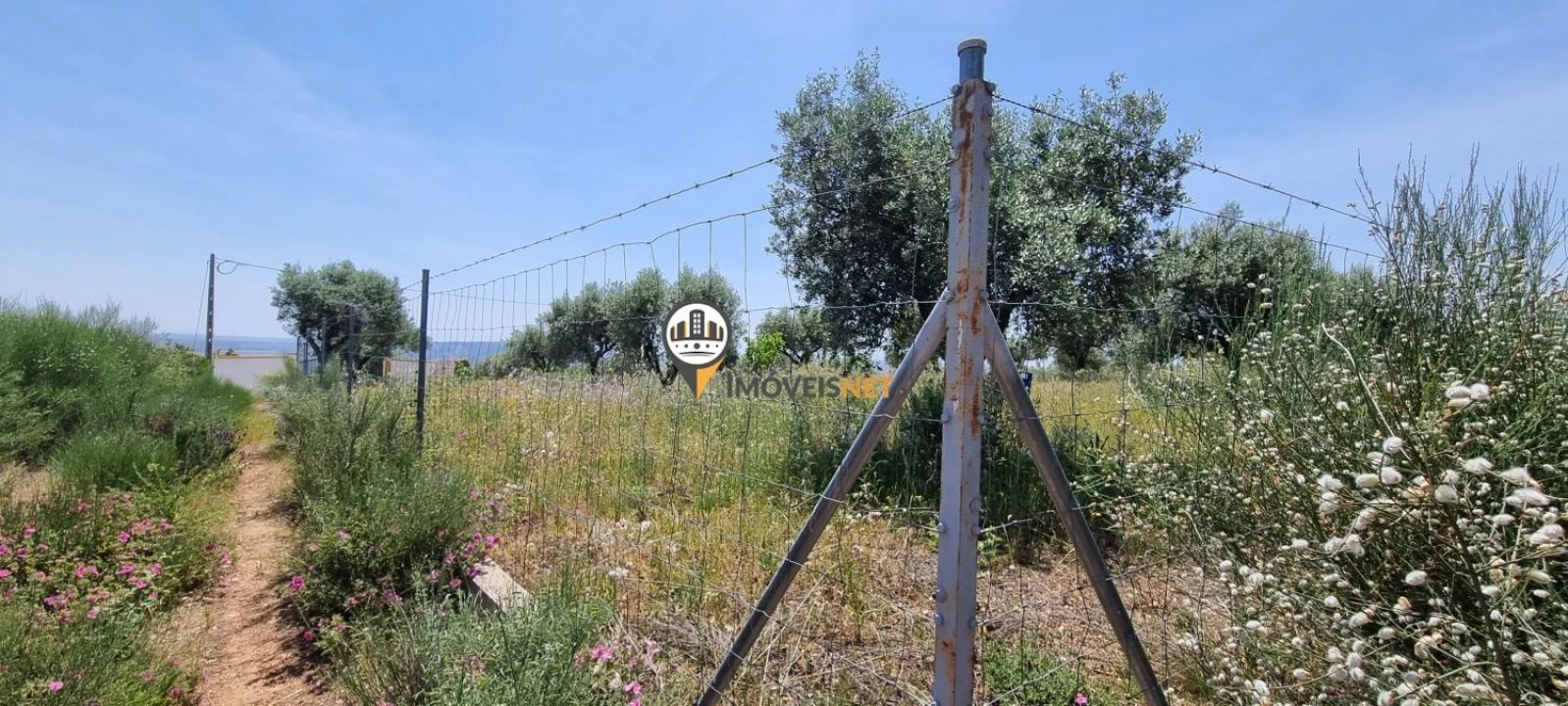 Terreno para Venda em Castelo Branco Foto 6