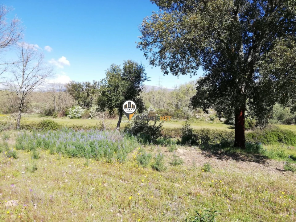 Terreno para Venda em Fatela Foto 7