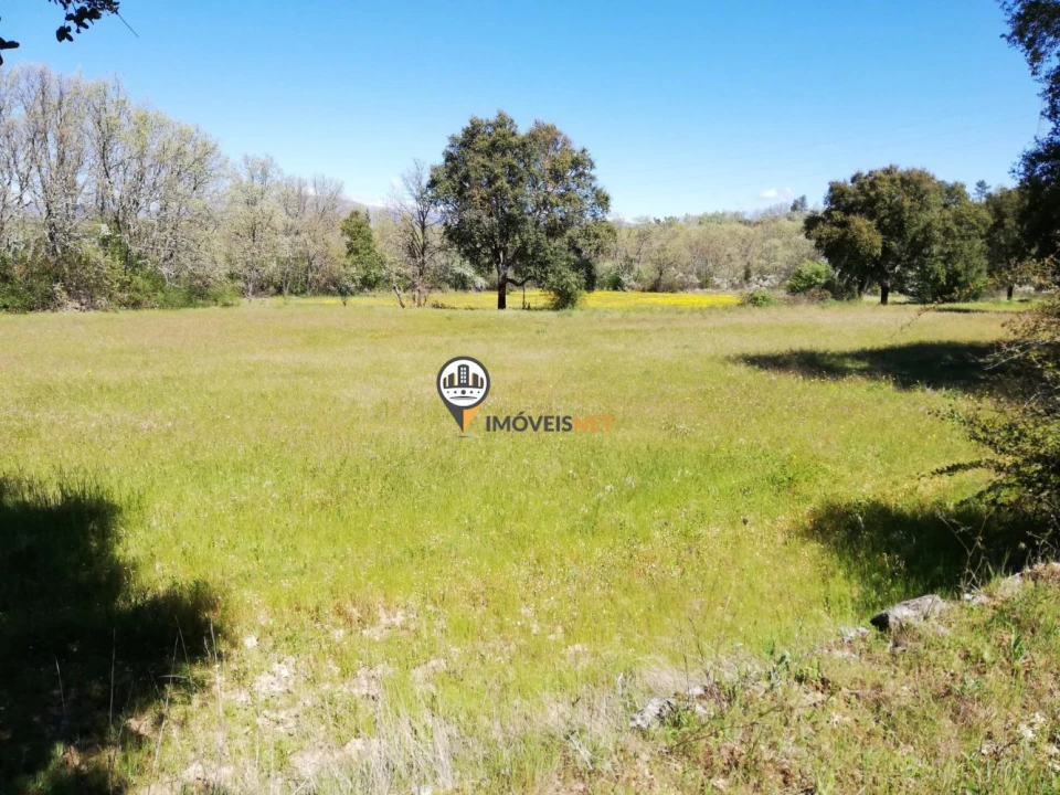Terreno para Venda em Fatela Foto 17
