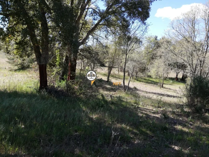 Terreno para Venda em Fatela Foto 5