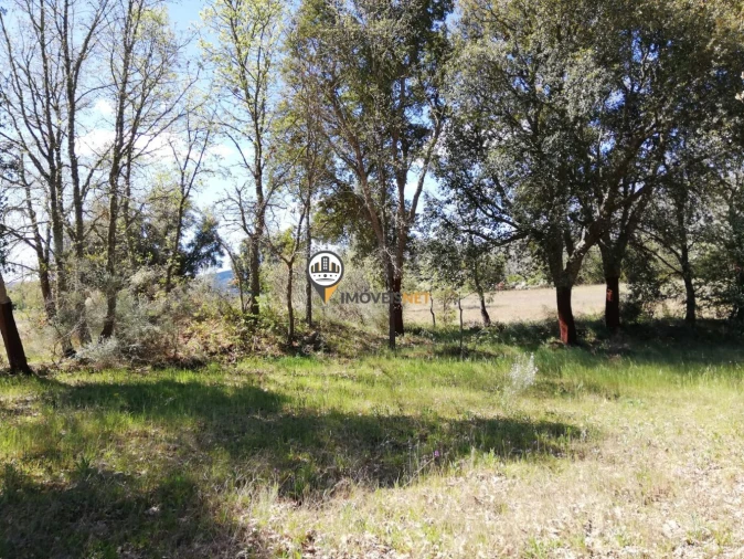 Terreno para Venda em Fatela Foto 2