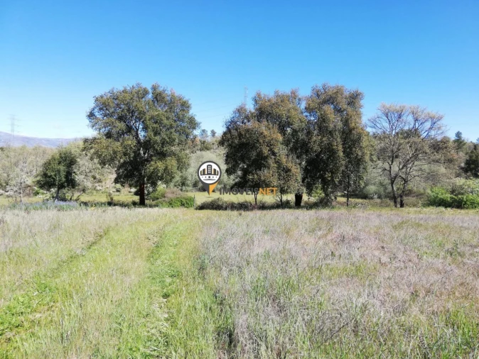 Terreno para Venda em Fundão, Valverde, Donas, A. Joanes, A. Nova Cabo Foto 5
