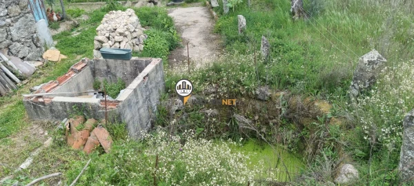 Terreno para Venda em Castelo Branco