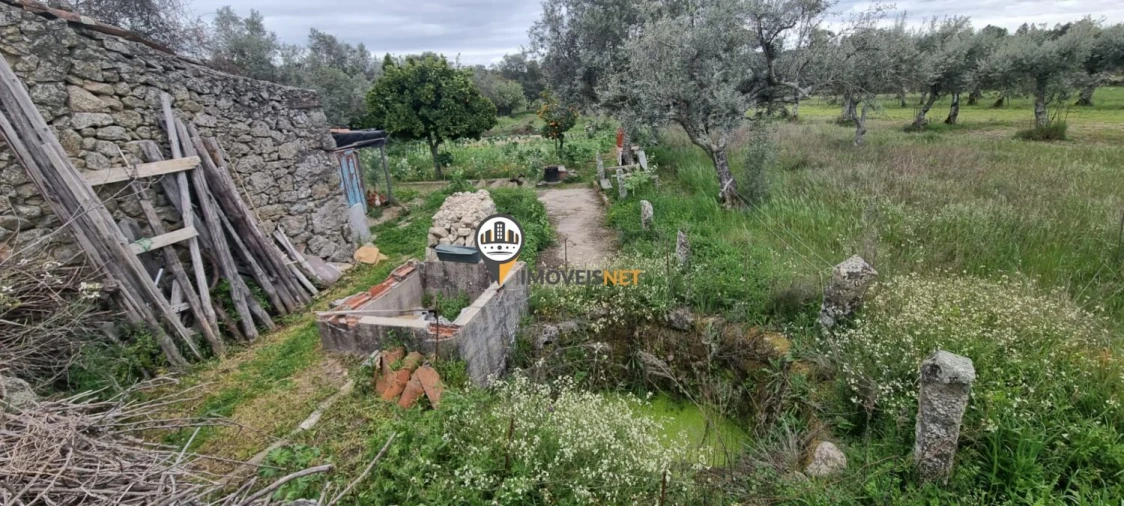 Terreno para Venda em Castelo Branco
