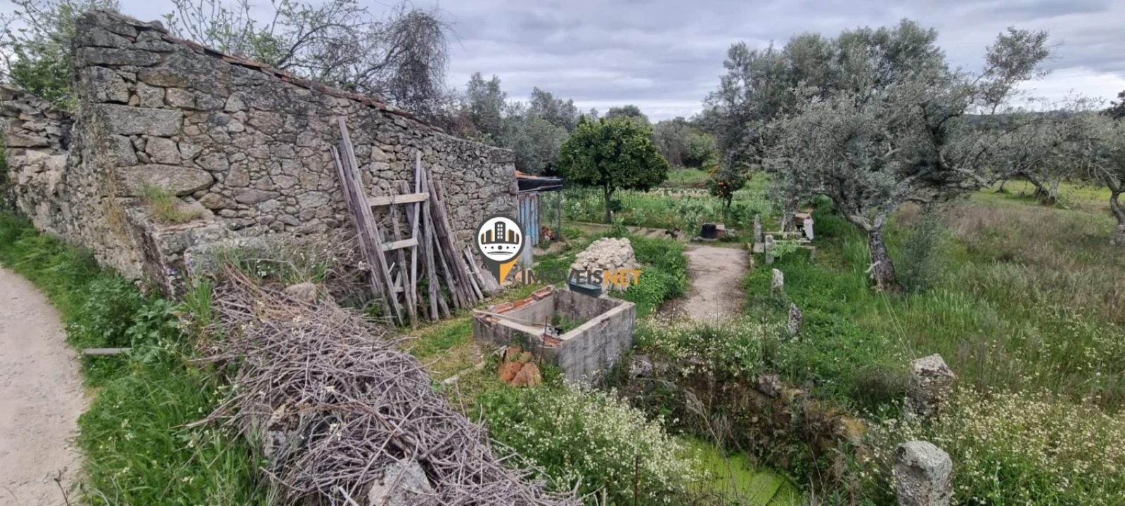 Terreno para Venda em Castelo Branco Foto 3