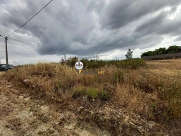 Terreno para Venda em Castelo Branco