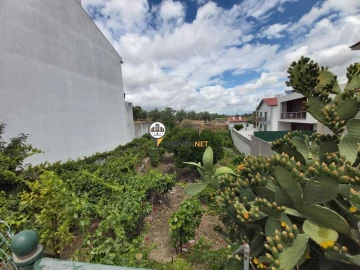 Terreno para Venda em Castelo Branco
