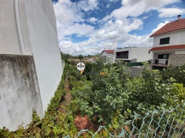 Terreno para Venda em Castelo Branco
