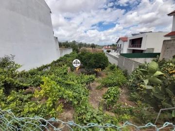 Terreno para Venda em Castelo Branco