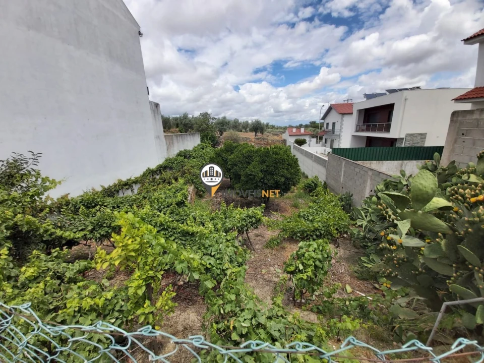 Terreno para Venda em Castelo Branco Foto 2