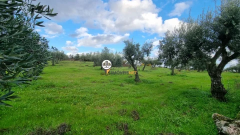 Terreno para Venda em Alcains