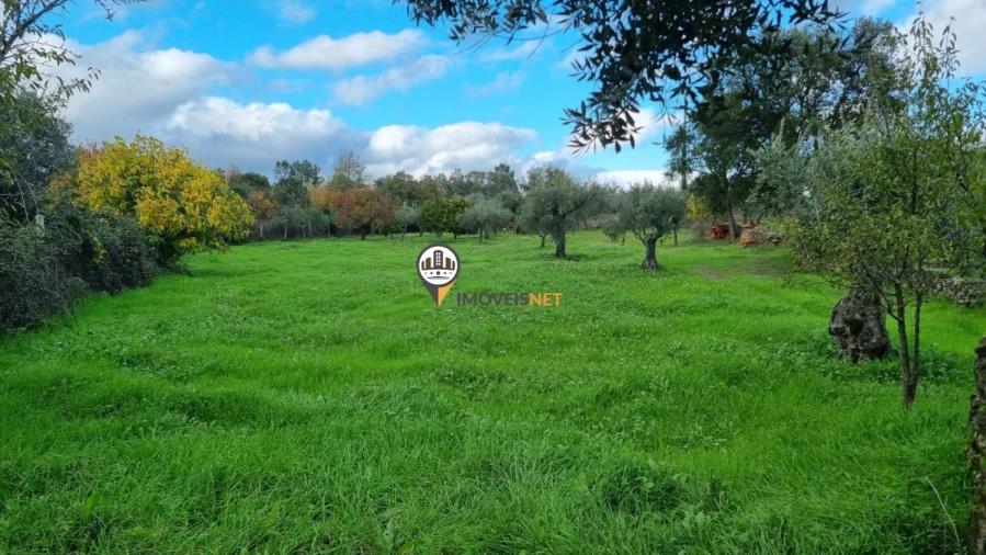 Terreno para Venda em Alcains Foto 4