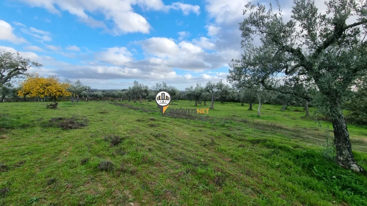 Terreno para Venda em Alcains Foto 1