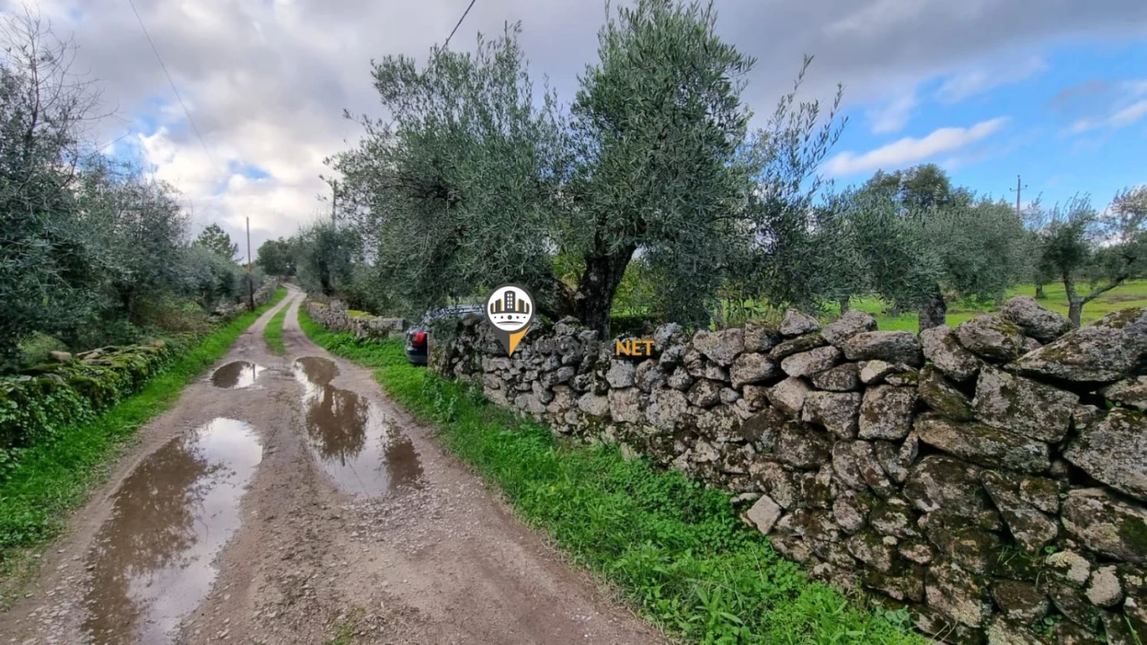Terreno para Venda em Alcains Foto 9