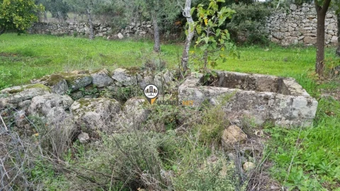 Terreno para Venda em Alcains
