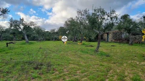 Terreno para Venda em Alcains