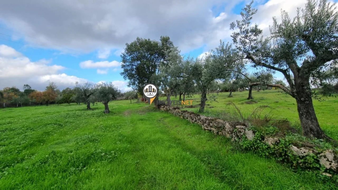 Terreno para Venda em Alcains Foto 3