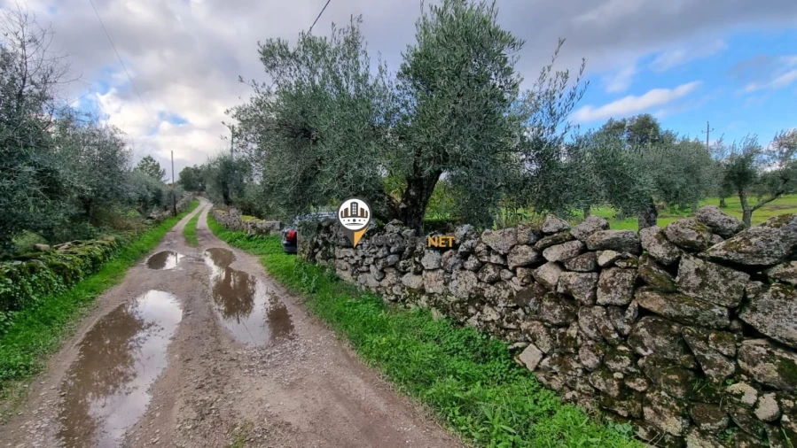 Terreno para Venda em Alcains Foto 9