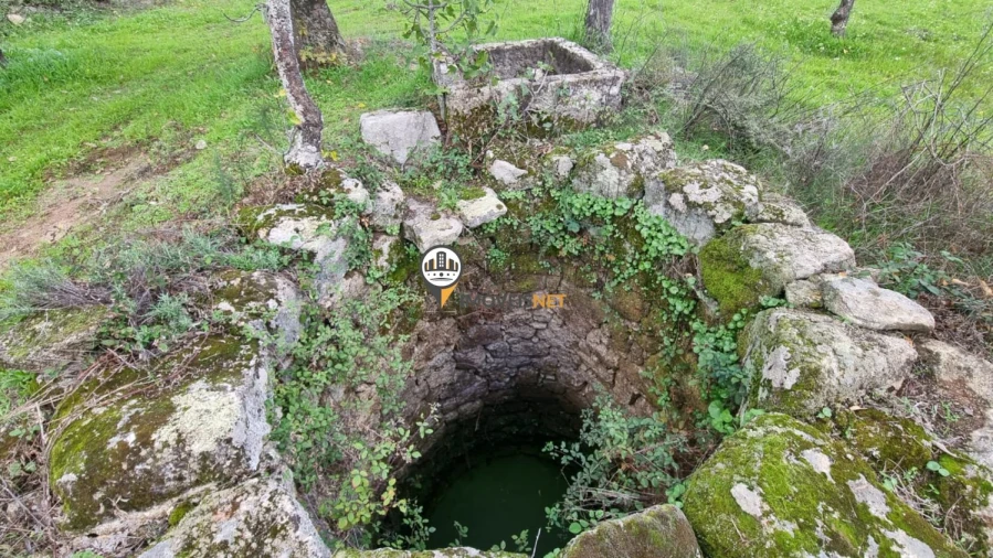 Terreno para Venda em Alcains Foto 4