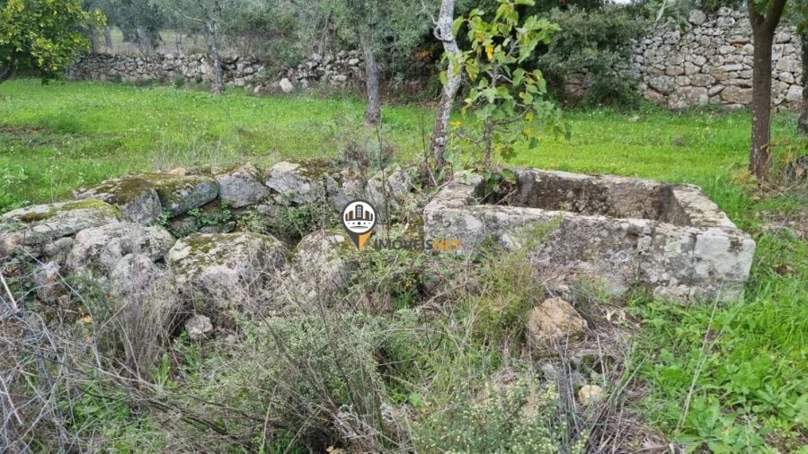 Terreno para Venda em Alcains Foto 6