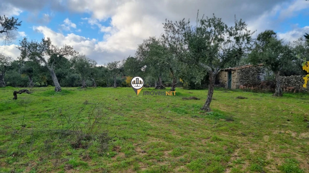 Terreno para Venda em Alcains Foto 2