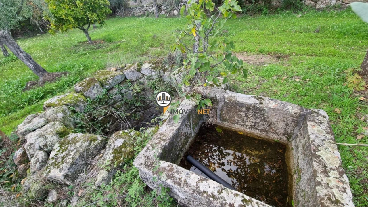 Terreno para Venda em Alcains Foto 5