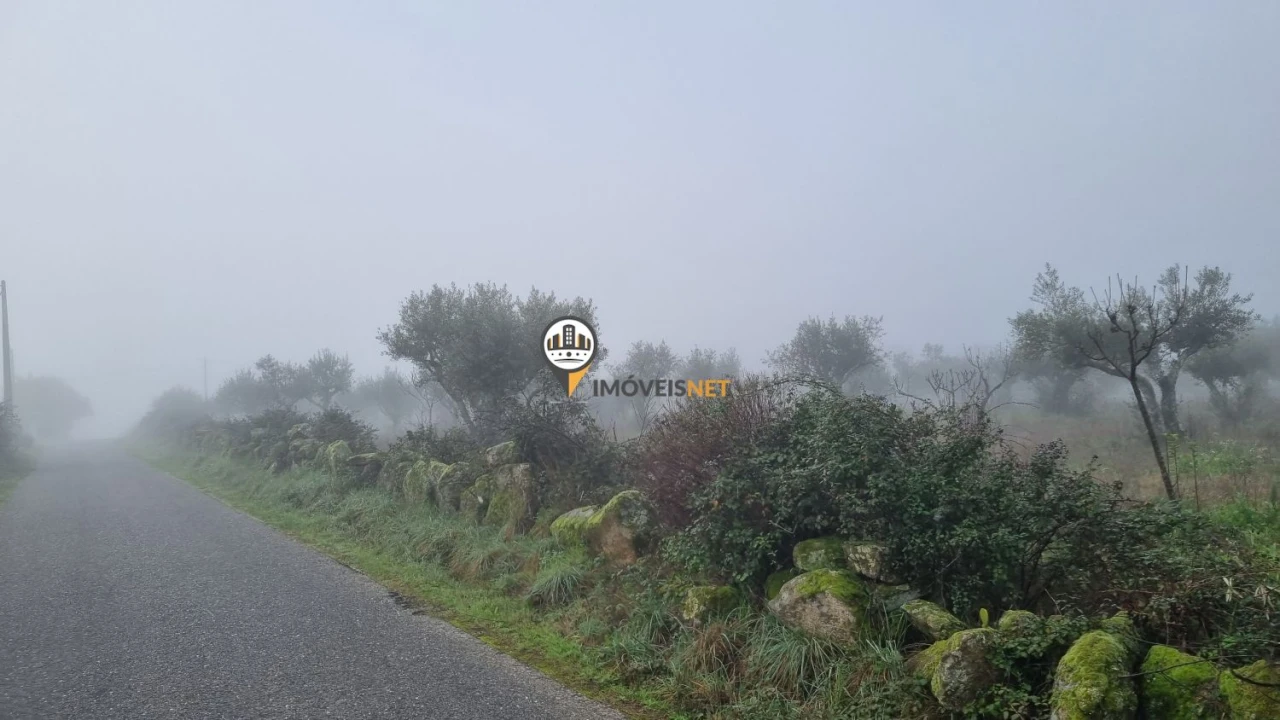 Terreno para Venda em Castelo Branco Foto 5