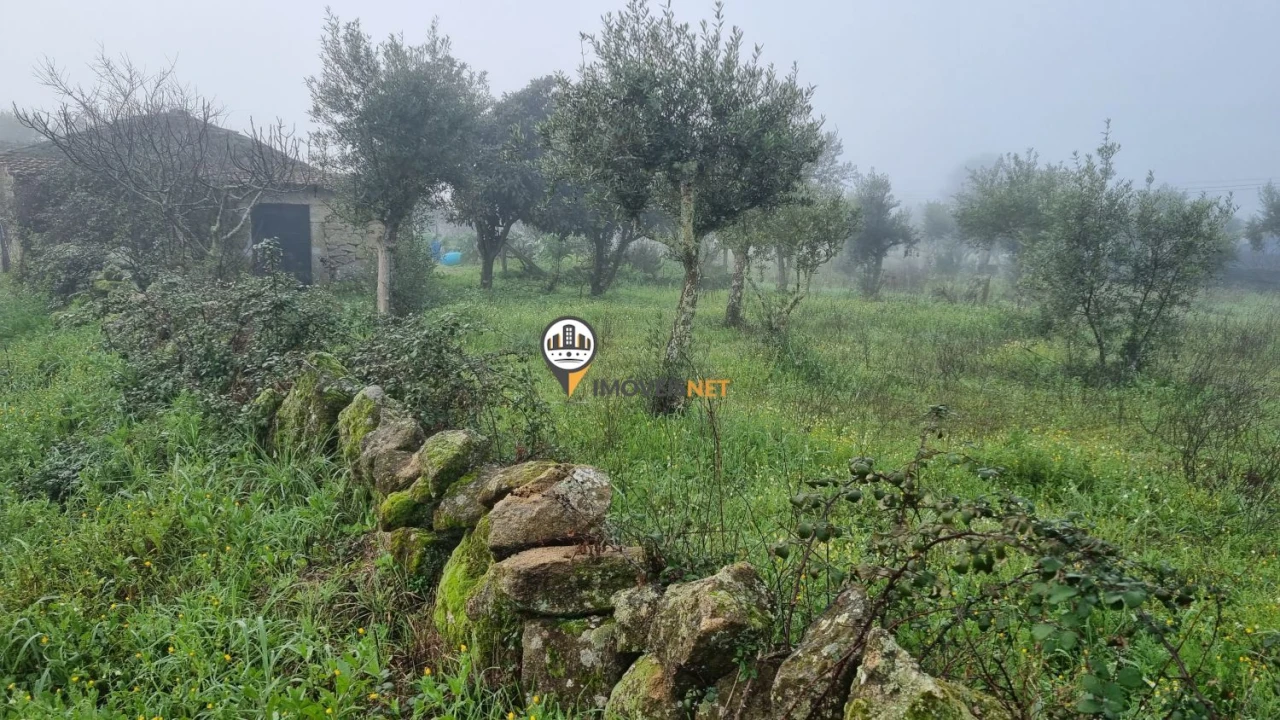 Terreno para Venda em Castelo Branco Foto 1