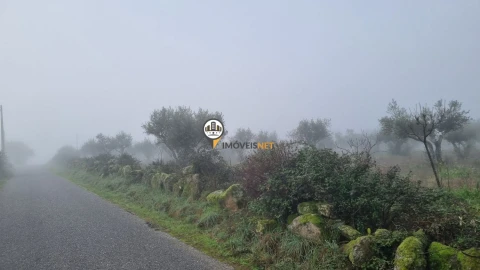 Terreno para Venda em Castelo Branco