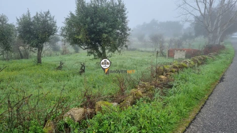Terreno para Venda em Castelo Branco