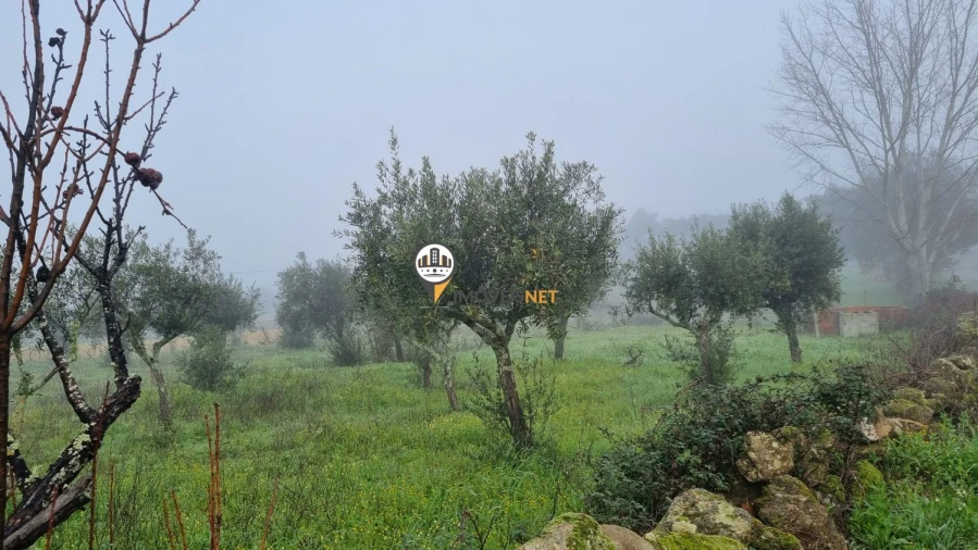 Terreno para Venda em Castelo Branco Foto 4