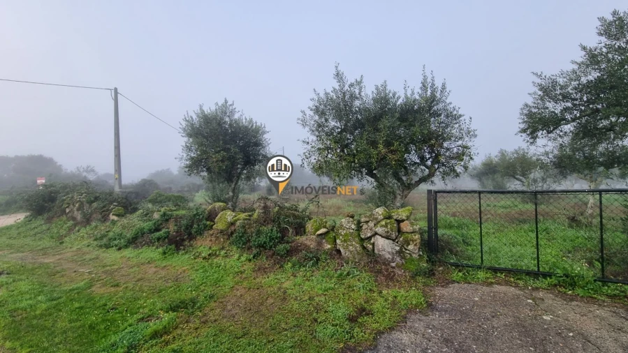 Terreno para Venda em Castelo Branco Foto 6