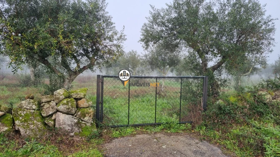 Terreno para Venda em Castelo Branco Foto 2