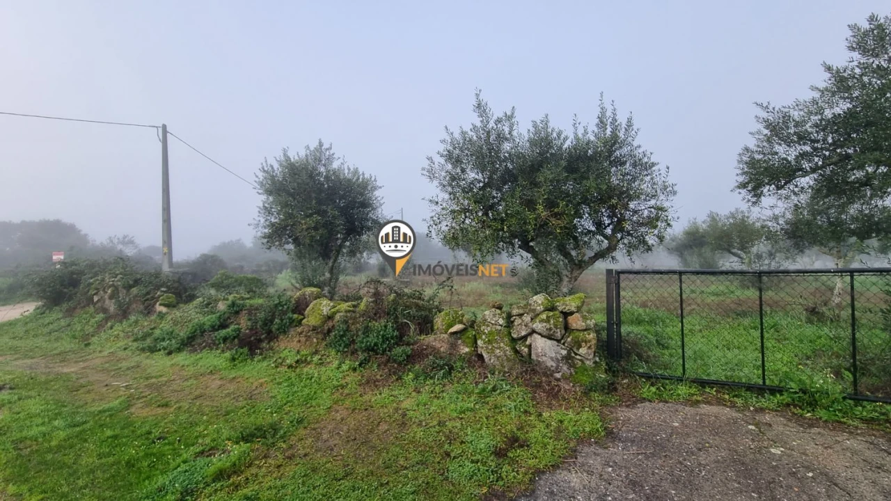 Terreno para Venda em Castelo Branco Foto 6