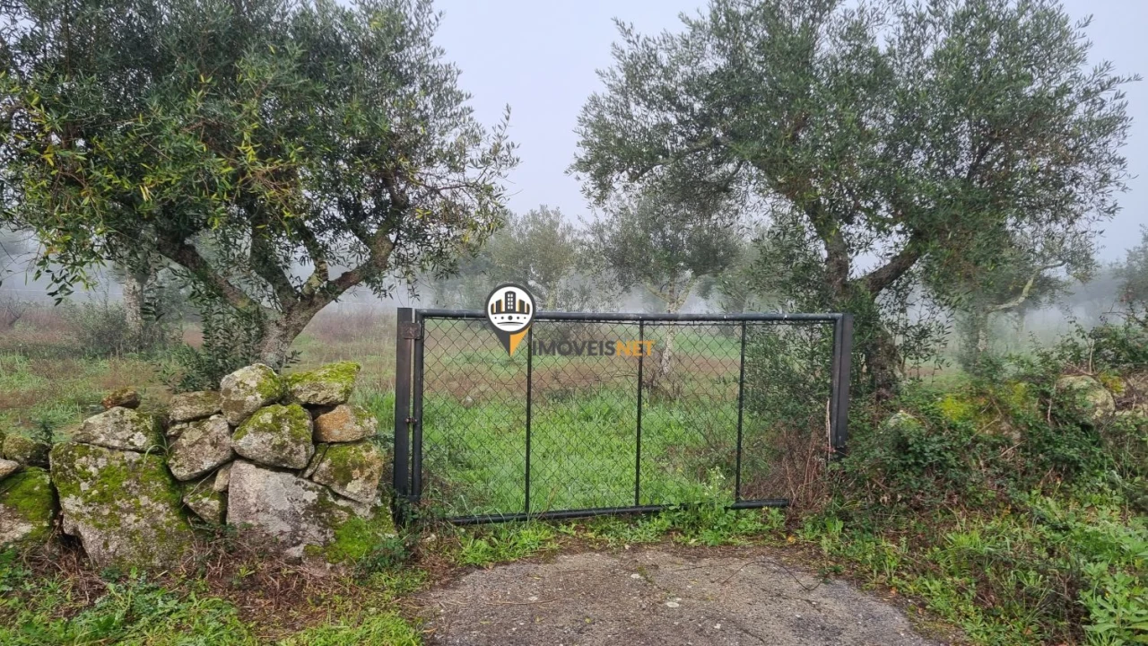 Terreno para Venda em Castelo Branco Foto 2