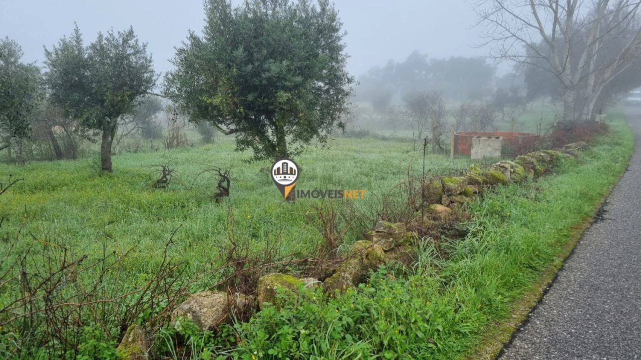 Terreno para Venda em Castelo Branco Foto 3