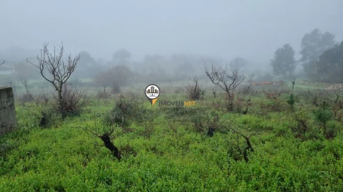 Terreno para Venda em Castelo Branco