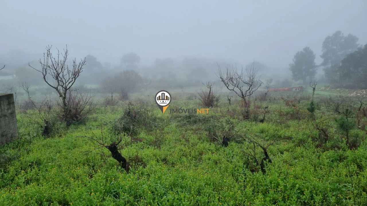 Terreno para Venda em Castelo Branco Foto 1