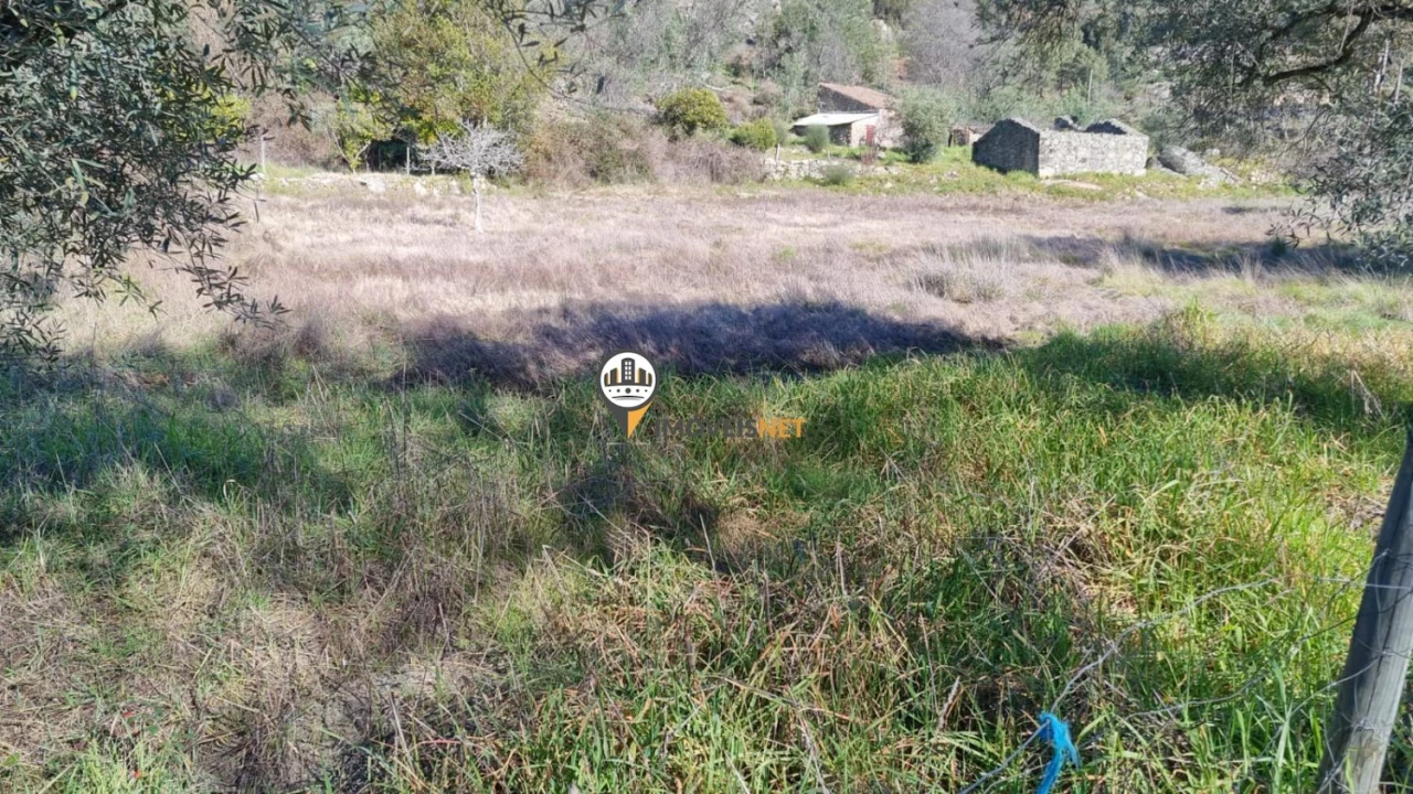 Terreno para Venda em Penamacor Foto 8