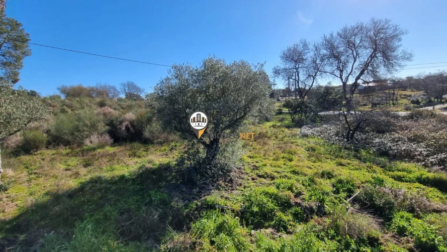 Terreno para Venda em Penamacor Foto 10