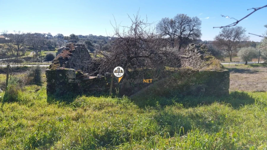 Terreno para Venda em Penamacor Foto 3