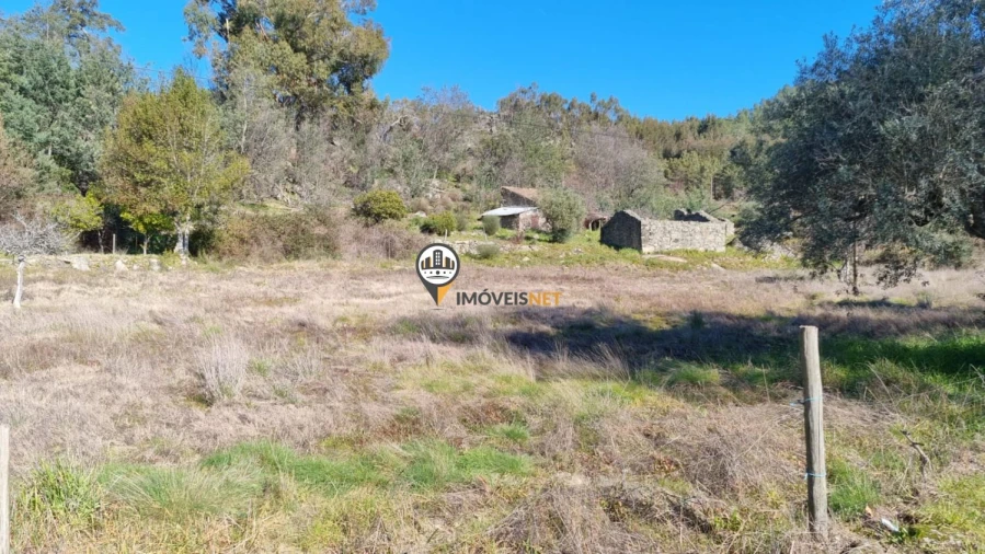 Terreno para Venda em Penamacor Foto 11