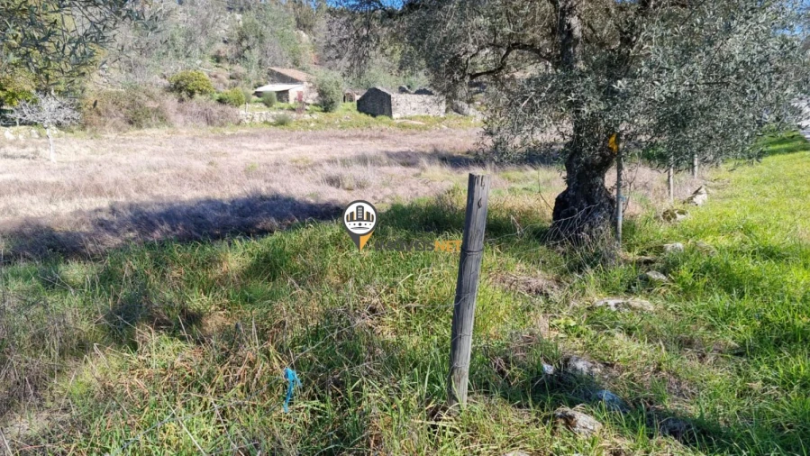 Terreno para Venda em Penamacor Foto 13
