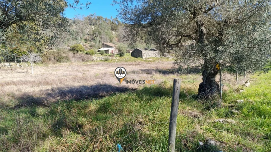 Terreno para Venda em Penamacor Foto 15