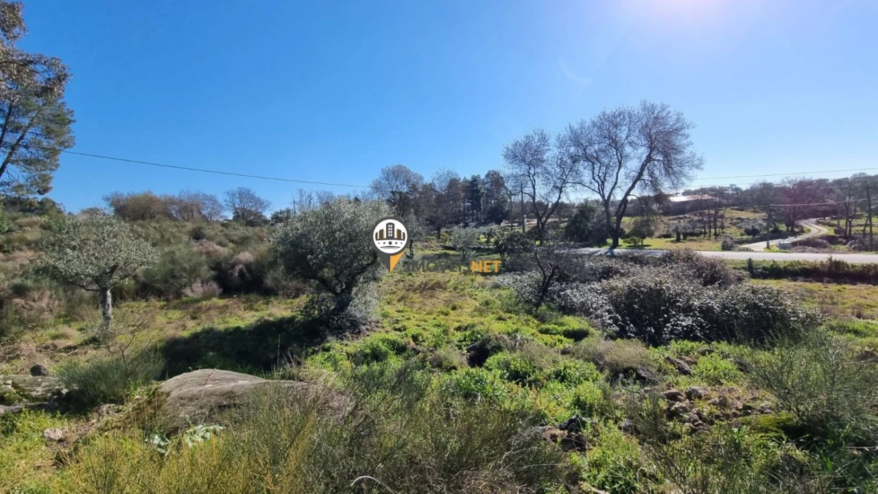 Terreno para Venda em Penamacor Foto 9
